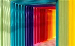 ColorHunt: Tasarımcılar İçin Mükemmel Bir Site