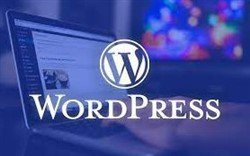 Wordpress wp-cron.php Saldırısını Önleme