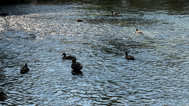 NASA'nın hayran kaldığı 'Kadın Azmağı'nda kuraklık alarmı