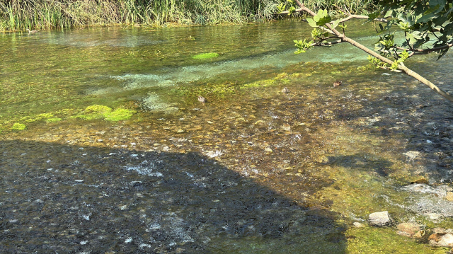 NASA'nın hayran kaldığı 'Kadın Azmağı'nda kuraklık alarmı